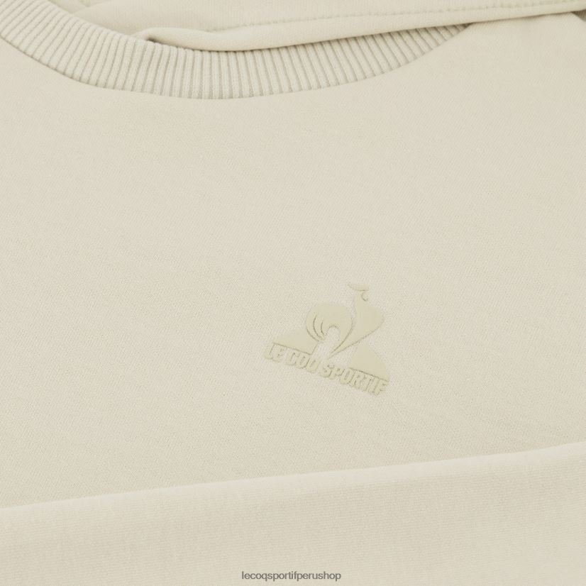 ropa hombres Le Coq Sportif sudadera con capucha marrón VR62VR9 - Le Coq shoes sales