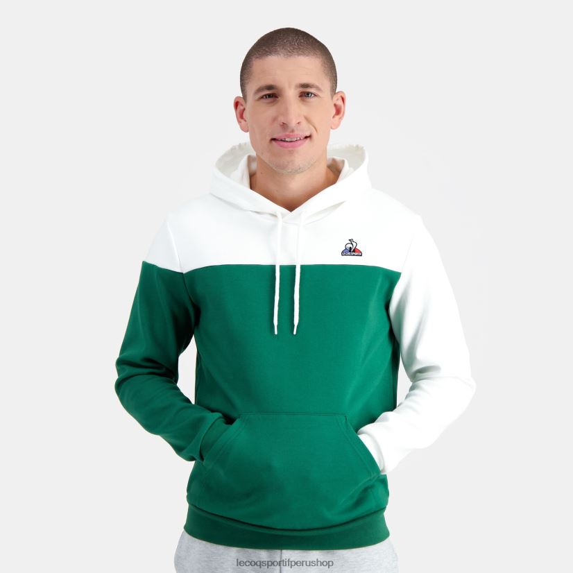 ropa hombres Le Coq Sportif sudadera con capucha verde VR62VR436 - Le Coq carta