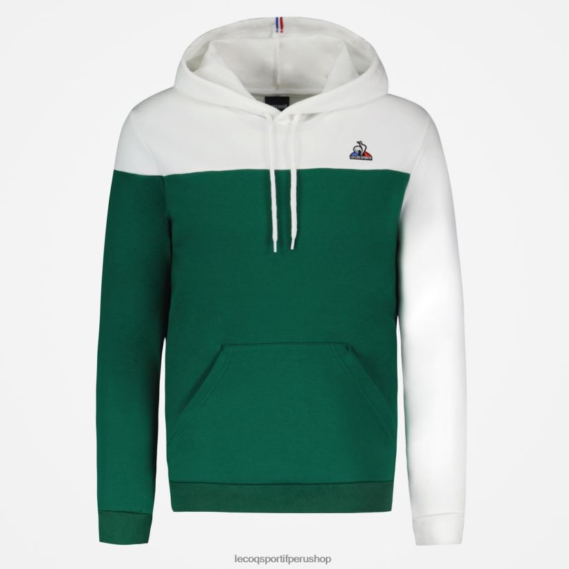 ropa hombres Le Coq Sportif sudadera con capucha verde VR62VR436 - Le Coq carta