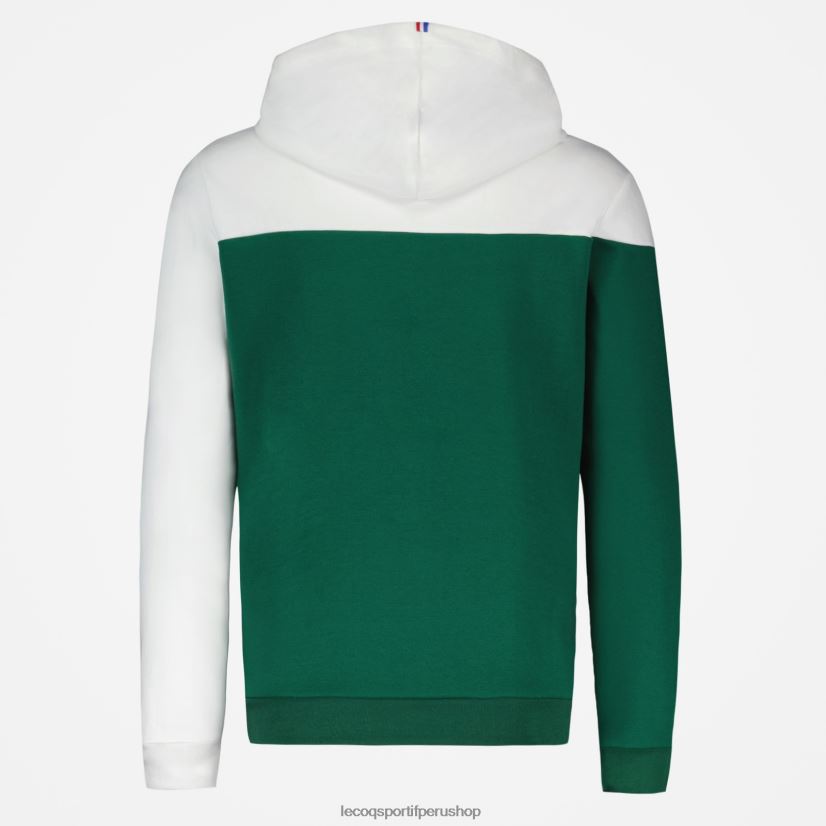 ropa hombres Le Coq Sportif sudadera con capucha verde VR62VR436 - Le Coq carta