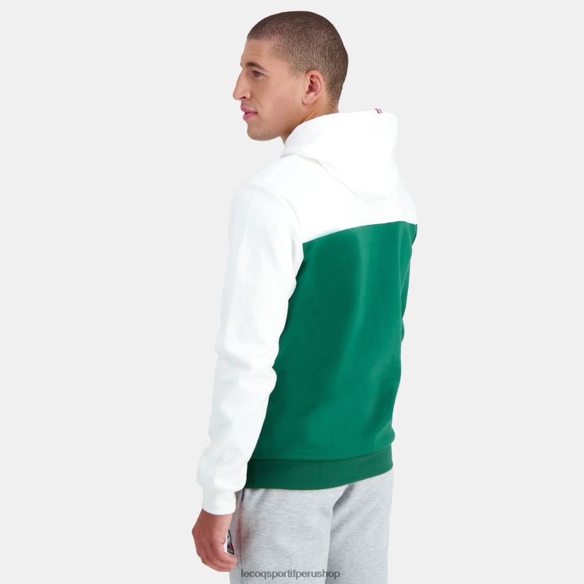 ropa hombres Le Coq Sportif sudadera con capucha verde VR62VR436 - Le Coq carta