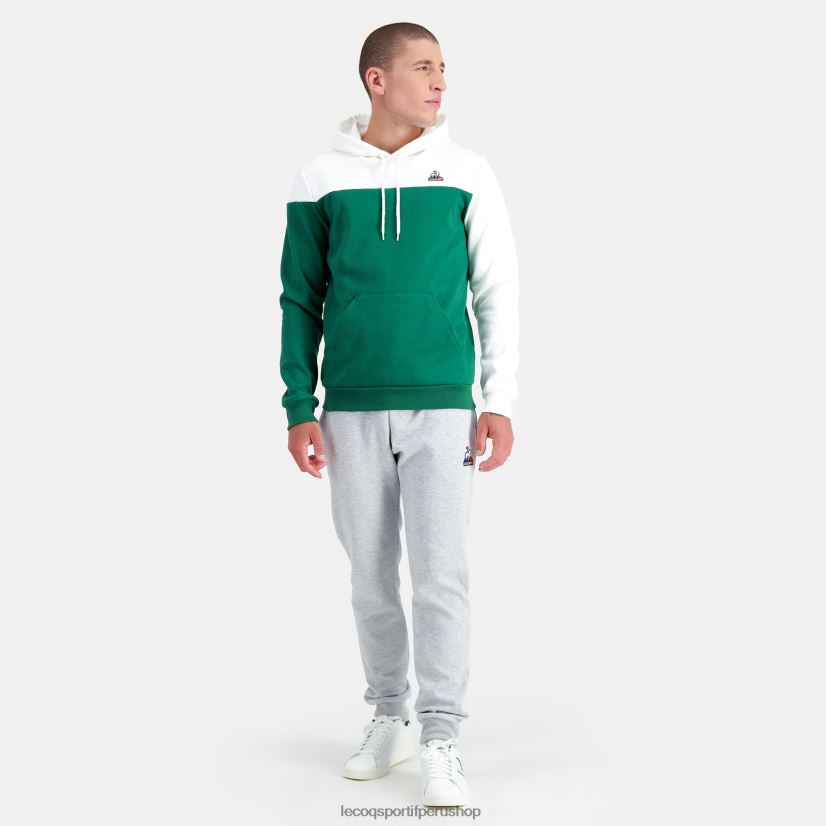 ropa hombres Le Coq Sportif sudadera con capucha verde VR62VR436 - Le Coq carta
