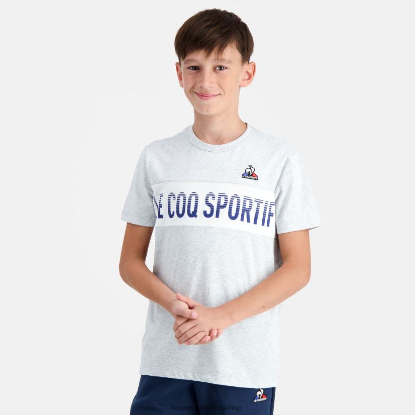 Le Coq sportif - ropa niños Le Coq Sportif camiseta gris VR62VR640