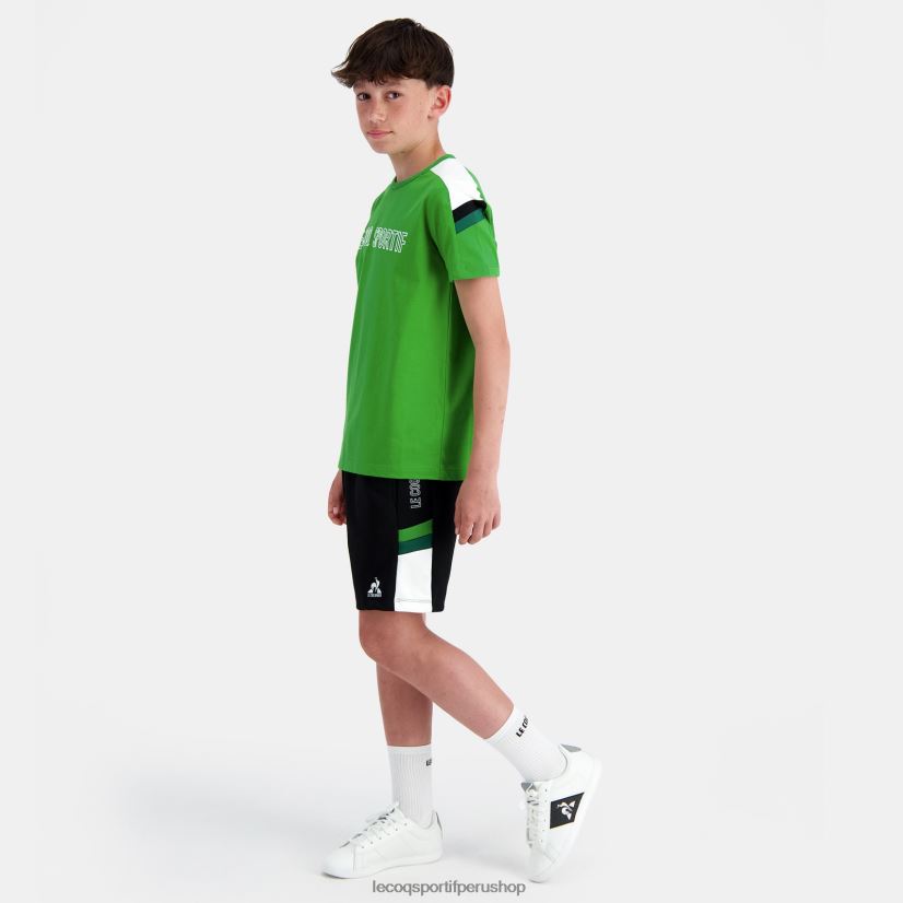 Le Coq shop - ropa niños Le Coq Sportif pantalones cortos multicolor VR62VR405