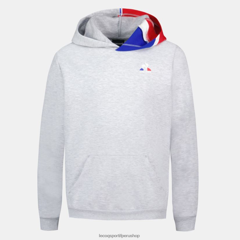 Le Coq sportif zapatillas - ropa niños Le Coq Sportif sudadera con capucha gris VR62VR393