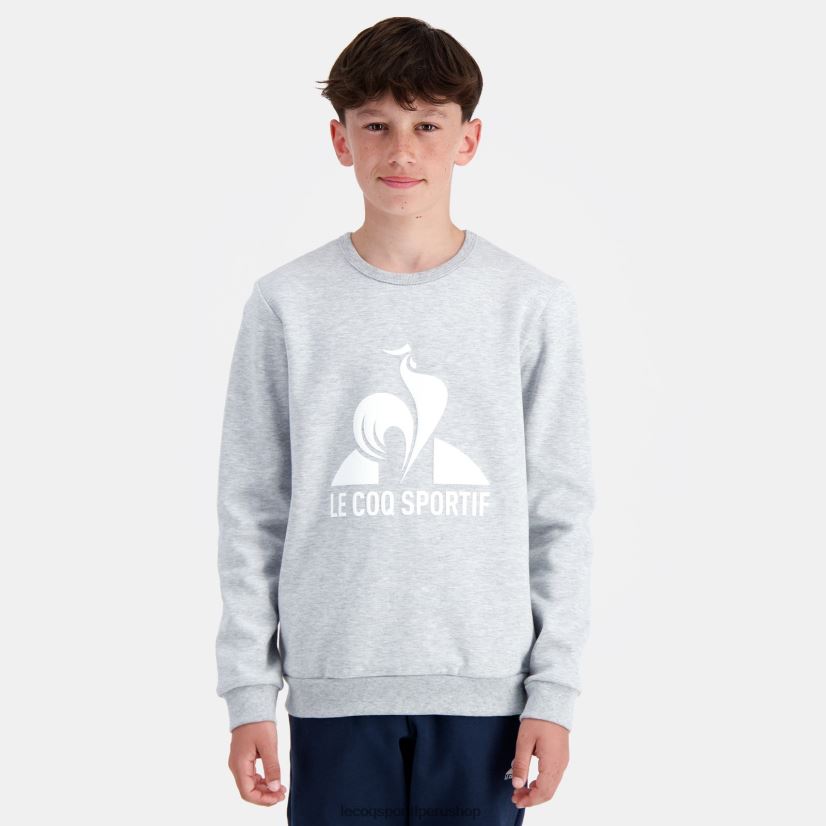 ropa niños Le Coq Sportif sudadera gris VR62VR397 - Le Coq carta