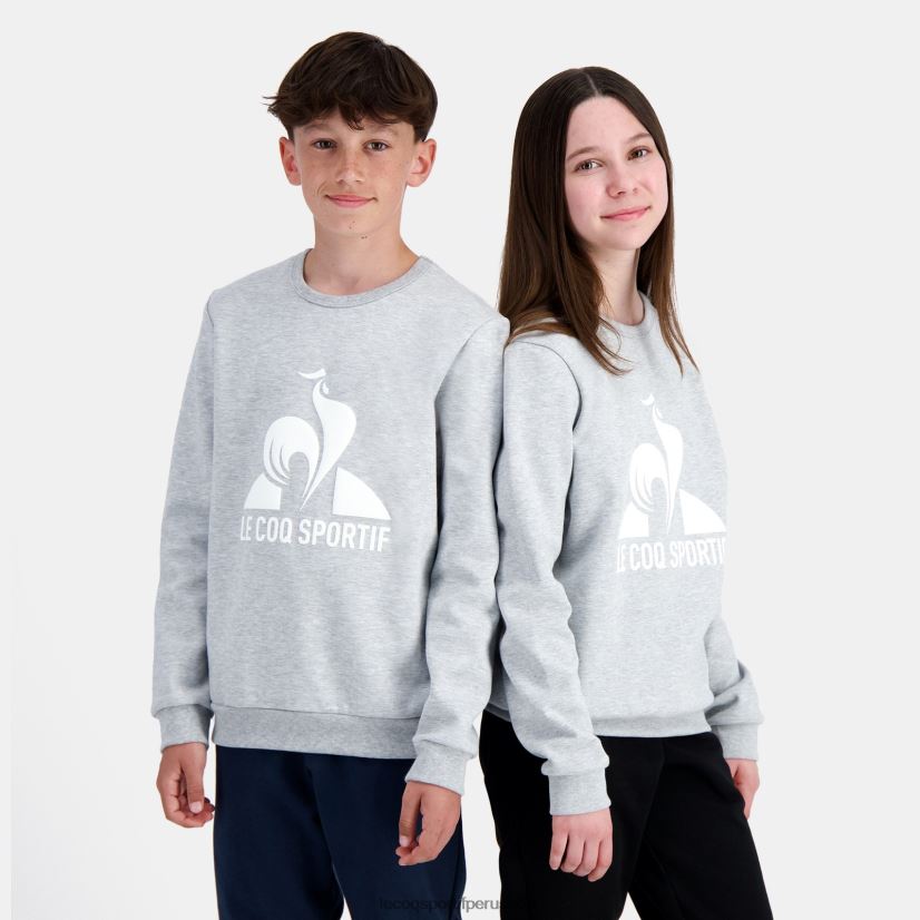 ropa niños Le Coq Sportif sudadera gris VR62VR397 - Le Coq carta