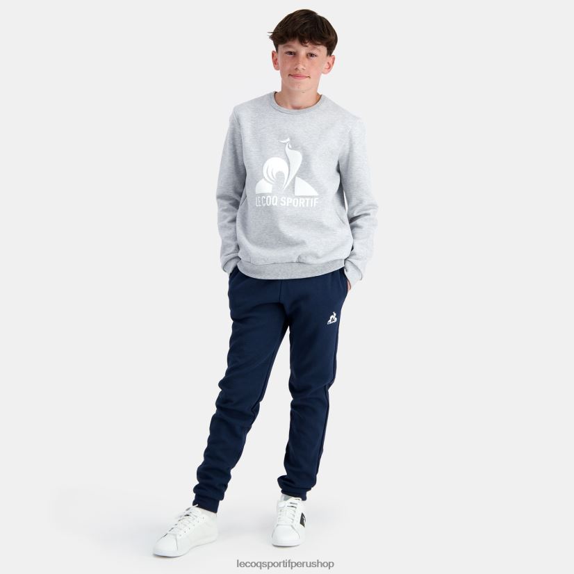 ropa niños Le Coq Sportif sudadera gris VR62VR397 - Le Coq carta