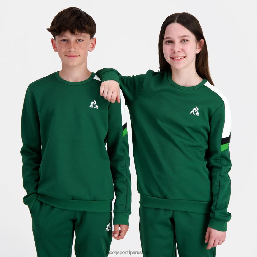 Le Coq sportif Peru - ropa niños Le Coq Sportif sudadera verde VR62VR392