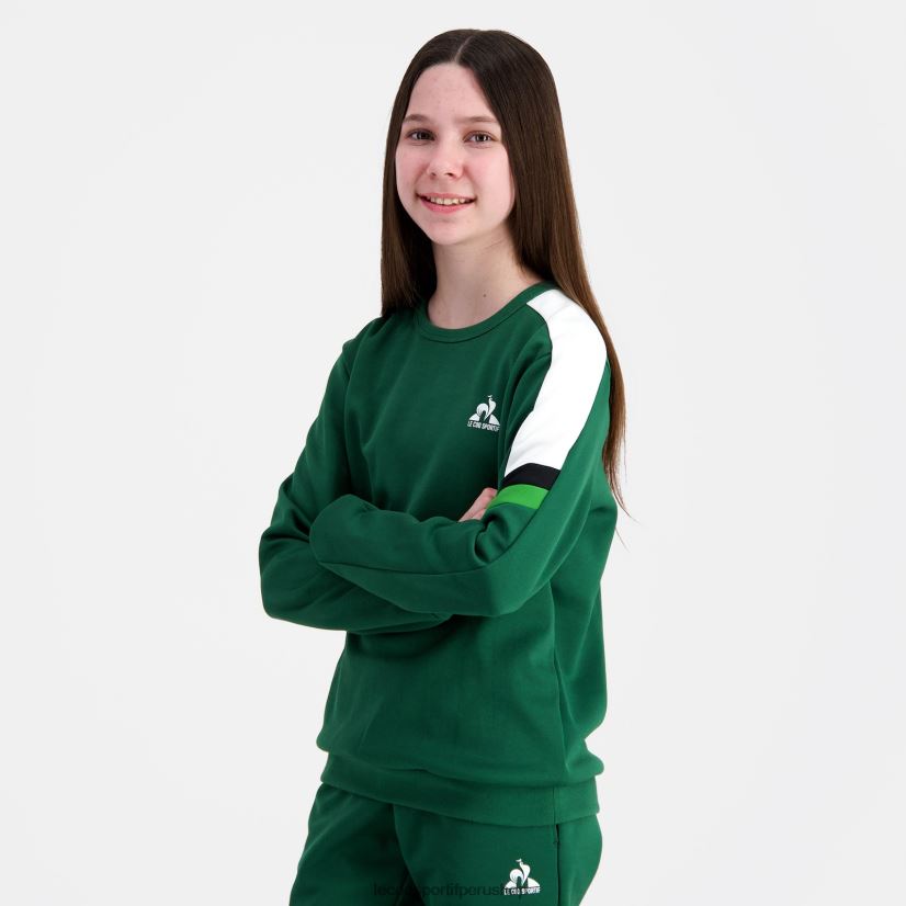 Le Coq sportif Peru - ropa niños Le Coq Sportif sudadera verde VR62VR392